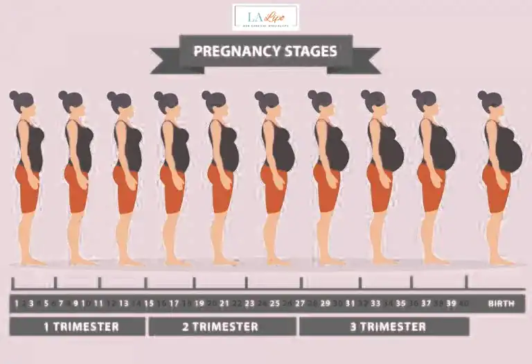 First Trimester (Weeks 1–12): Early Changes You Might Not Notice Loughborough
